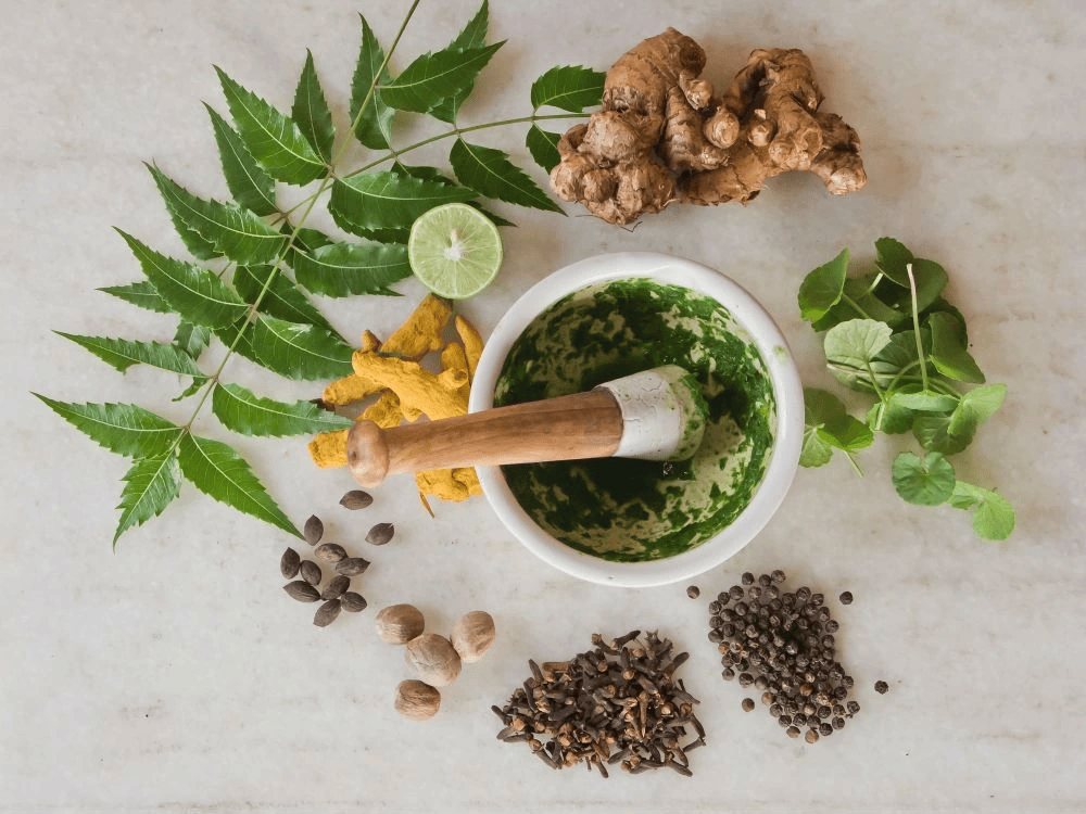 Best Ayurveda Marketing Agency Delhi